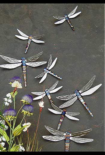John-Running-Dragonflies.jpg
